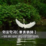 [좋은글] [좋은글] 화표학귀華表鶴歸 – 학이 되어 화표에 앉다...