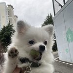 경상도판<b>녀들</b>아 들어와봐
