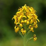 [좋은글] [좋은글] 【<b>갯</b>취】