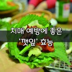 [좋은글] [좋은글] 치매 예방에 좋은 '깻잎' 효능