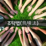 [좋은글] [좋은글] ◇ 조탁법鳥啄法