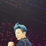 <b>지디</b> 짤털