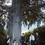 <b>단체사진</b> 마저 느좋인 남돌 컴백 컨포