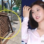 김새론, 동승자 있었다…김보라 "제가요?" 의혹 반박(종합)