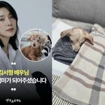 큰 슬픔에도..호스피스에 있는 <b>노견</b> 품었다 "남은 시간 함께"