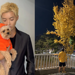 [댓글부탁해] "이상화도 놀랐다" 강남, 다이어트+코 재수술...