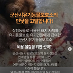 동물보호단체가 검찰과 다른 게 뭘까요?