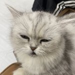 트위터 <b>없어</b>졋으면 좋겟다
