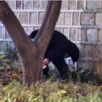 일본 땜에 <b>나라</b> 망하는 중