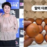 '난각번호 4' 뭐길래…'가격 <b>책정</b>' 지적 계속 [엑's 이슈]