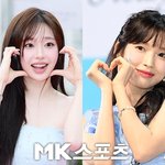 “성희롱·모욕 선처無”…<b>츄</b>·아린 소속사, 악플러에 칼 빼들었다[전문]