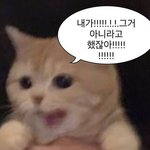 야