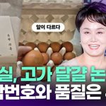 고가 달걀 논란에 "난각번호와 <b>품질</b> 등급 무관" [투데이픽]