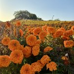 [19] 학교화장실에서 임테기한거 <b>비참</b>해...