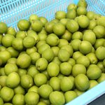 [좋은글] [좋은글] 천<b>연소</b>화제 음식 6가지