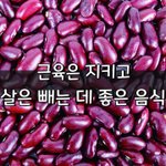 [좋은글] [좋은글] 근육은 지키고 살은 빼는 데 좋은 음식