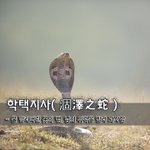학택지사涸澤之蛇 - 물 말라버린 못의 뱀, 남의 위력을 빌려 <b>과시</b>함