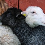 [좋은글] [좋은글] 술 마시며 맺은 <b>친구</b>는