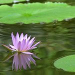 [좋은글] [좋은글] 인생의 세가지 <b>여유</b>로움