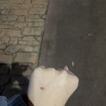 고양이가 내 <b>살점</b> 뜯어감