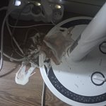 <b>김판녀</b> 사고치다