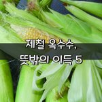 [좋은글] [좋은글] 제철 옥수수, 뜻밖의 <b>이득</b> 5