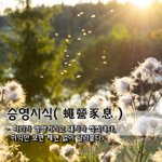 파리가 앵앵거리고 돼지가 씩씩대다, <b>이익</b>만 보면 체면 없이 달라붙다.