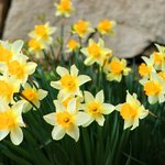 [좋은글] [좋은글] 내가 서 있는 자리는