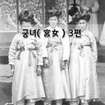 [좋은글] [좋은글]  궁녀宮女 3편