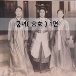 [좋은글] [좋은글]  궁녀宮女 1편