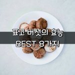[좋은글] [좋은글] 표고 <b>버섯</b>의 효능 BEST 8가지
