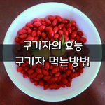 [좋은글] [좋은글] ✅ 간의 지방배출을 돕는 구기자!!
