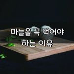 [좋은글] [좋은글] ◇ 마늘을 꼭 먹어야 하는 이유