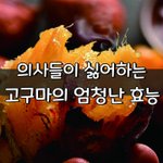 [좋은글] [좋은글] ◇ 의사들이 싫어하는 '고구마'의 엄청난 효능