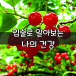 [좋은글] [좋은글] ◇ <b>입술</b>로 알아보는 나의 건강