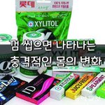 [좋은글] [좋은글] ◇ 껌 씹으면 나타나는 <b>충격적</b>인 몸의 변화