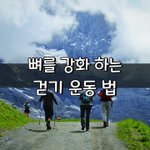 [좋은글] [좋은글] ◇ 뼈를 강화 하는 걷기 운동 법