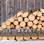 [좋은글] [좋은글] 설중송탄雪中送炭 - <b>추위</b> 속에 땔감을 보내다.