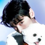 컴백 컨포랑 <b>뮤비</b>에서 꼬순내 날 것 같은데?