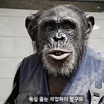 요즘 1만 유튜버 근황.jpg