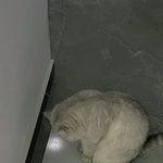 좋은<b>아침</b>