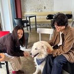 [드루와] 이효리이상순, 새로운 가족 생겼다.."사랑해" 근황...