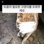 인류애 <b>개박</b>살나네