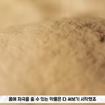 [하고싶은말] .