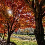 [국내여행] 가을 문경새재