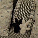 [하고싶은말] <b>Mk</b>울트라