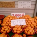 아 남미새가 남미새로 몰아가는거 너무 <b>화남</b>