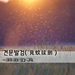 [좋은글] [좋은글] 견문발검見蚊拔劍 - 모기 보고 칼을 빼다.
