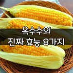 [좋은글] [좋은글] <b>옥수수</b>의 진짜 효능 8가지