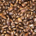 [좋은글] [좋은글] 잣의 효능 7가지